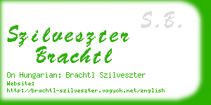 szilveszter brachtl business card